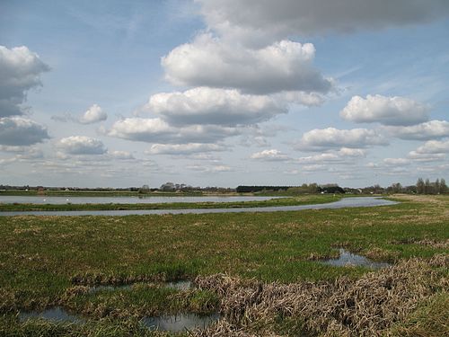 Lakenheath Fen RSPB reserve